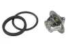 Thermostat, Kühlmittel BorgWarner (Wahler) 3017.92D50 Bild Thermostat, Kühlmittel BorgWarner (Wahler) 3017.92D50