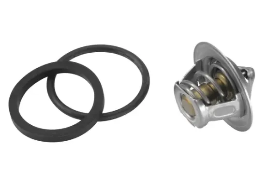 Thermostat, Kühlmittel BorgWarner (Wahler) 3017.92D50 Bild Thermostat, Kühlmittel BorgWarner (Wahler) 3017.92D50
