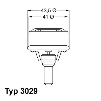 Thermostat, Kühlmittel BorgWarner (Wahler) 3029.86