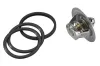 Thermostat, Kühlmittel BorgWarner (Wahler) 3136.88D50 Bild Thermostat, Kühlmittel BorgWarner (Wahler) 3136.88D50