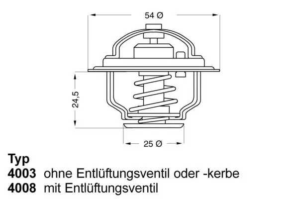 Thermostat, Kühlmittel BorgWarner (Wahler) 4008.79D