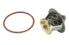 Thermostat, Kühlmittel BorgWarner (Wahler) 4007.80D Bild Thermostat, Kühlmittel BorgWarner (Wahler) 4007.80D
