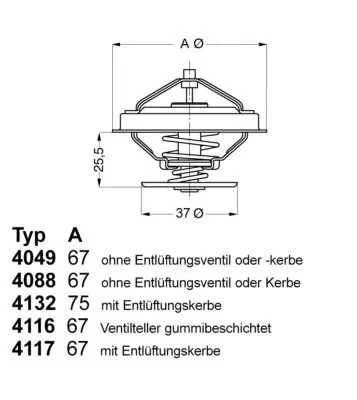 Thermostat, Kühlmittel BorgWarner (Wahler) 4116.87D1