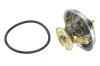 Thermostat, Kühlmittel BorgWarner (Wahler) 4049.80D Bild Thermostat, Kühlmittel BorgWarner (Wahler) 4049.80D
