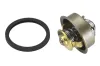 Thermostat, Kühlmittel BorgWarner (Wahler) 4089.87D Bild Thermostat, Kühlmittel BorgWarner (Wahler) 4089.87D
