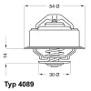 Thermostat, K&uuml;hlmittel BorgWarner (Wahler) 4089.87D
