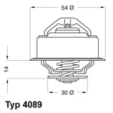 Thermostat, Kühlmittel BorgWarner (Wahler) 4089.87D