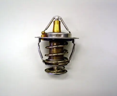 Thermostat, Kühlmittel BorgWarner (Wahler) 410176.82D0