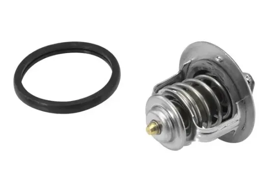 Thermostat, Kühlmittel BorgWarner (Wahler) 410179.84D Bild Thermostat, Kühlmittel BorgWarner (Wahler) 410179.84D