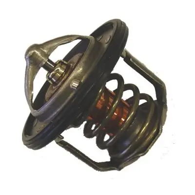 Thermostat, Kühlmittel BorgWarner (Wahler) 411716.88D