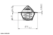 Thermostat, Kühlmittel BorgWarner (Wahler) 410808.88D