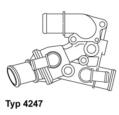 Thermostat, Kühlmittel BorgWarner (Wahler) 4247.80D