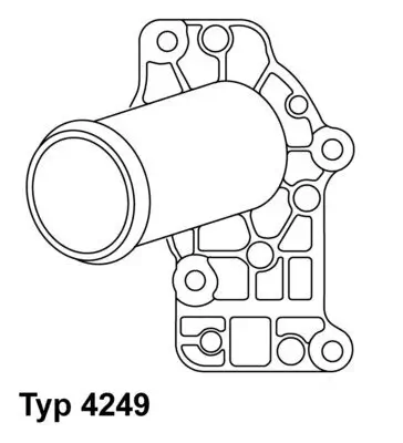 Thermostat, Kühlmittel BorgWarner (Wahler) 4249.83D