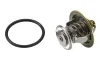 Thermostat, Kühlmittel BorgWarner (Wahler) 4255.87D Bild Thermostat, Kühlmittel BorgWarner (Wahler) 4255.87D