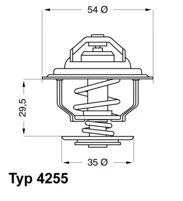 Thermostat, Kühlmittel BorgWarner (Wahler) 4255.92D