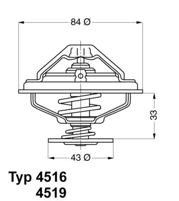 Thermostat, Kühlmittel BorgWarner (Wahler) 4516.85D