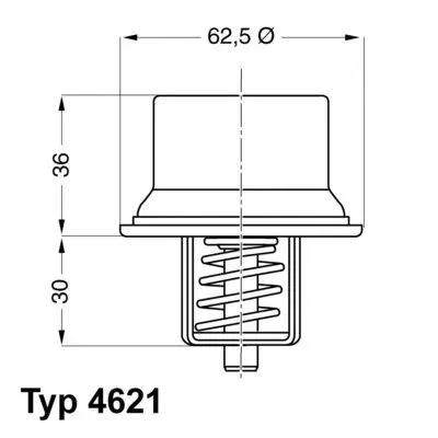 Thermostat, Kühlmittel BorgWarner (Wahler) 4621.80D