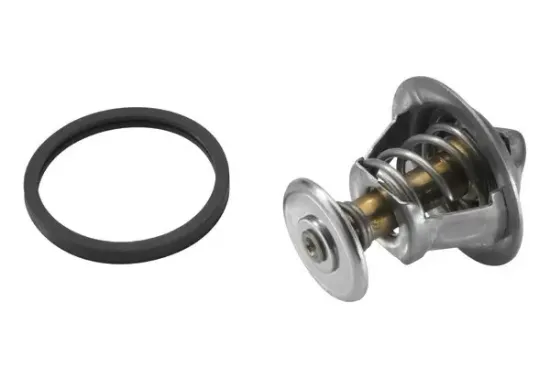 Thermostat, Kühlmittel BorgWarner (Wahler) 4821.89D Bild Thermostat, Kühlmittel BorgWarner (Wahler) 4821.89D