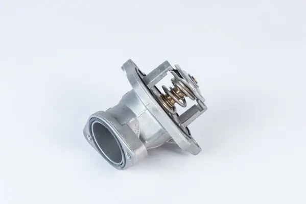 Thermostat, Kühlmittel BorgWarner (Wahler) 4832.87D