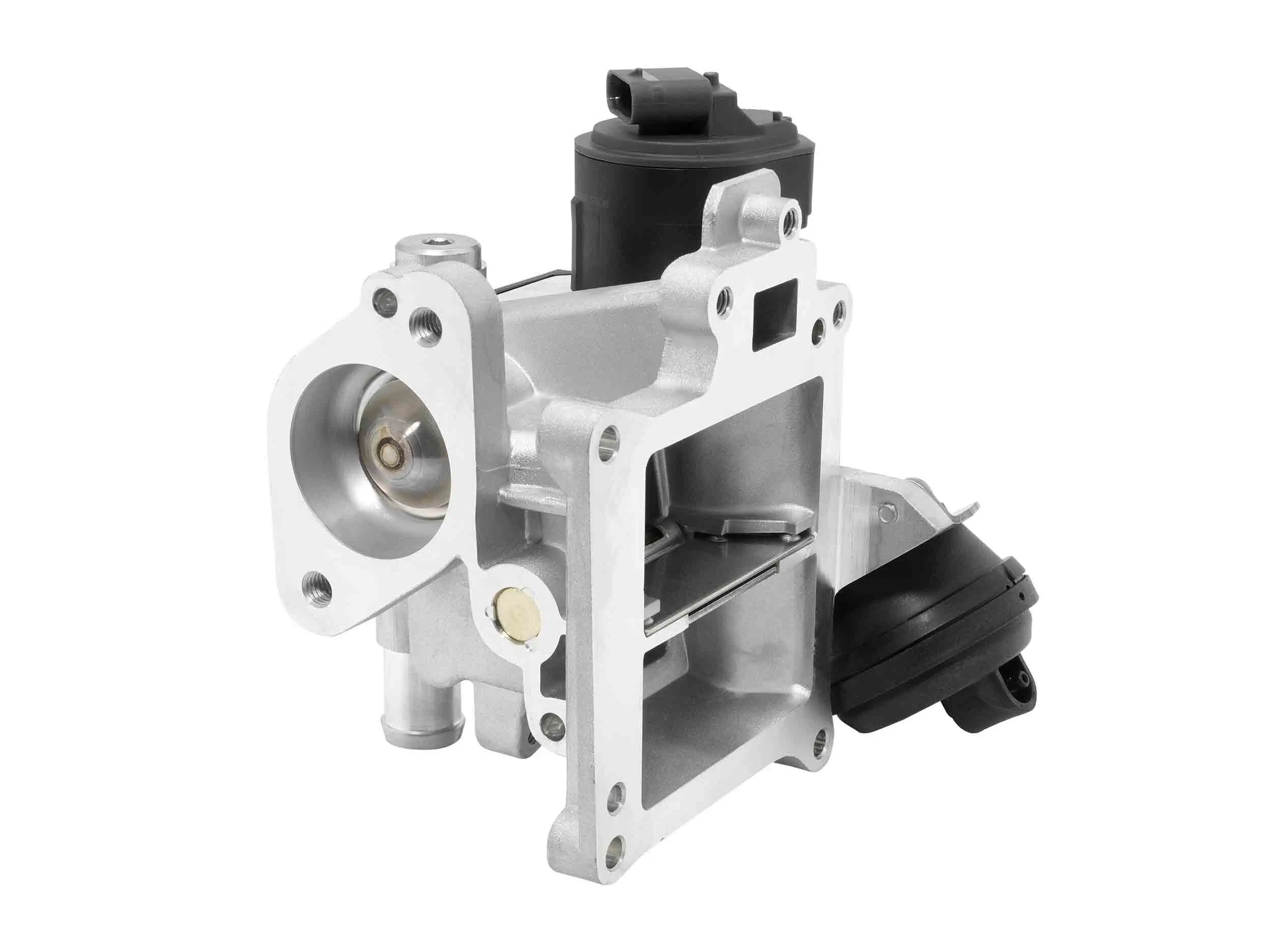 AGR-Ventil BorgWarner (Wahler) 710488D0