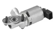 AGR-Ventil BorgWarner (Wahler) 710631D