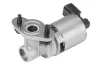 AGR-Ventil BorgWarner (Wahler) 710634D