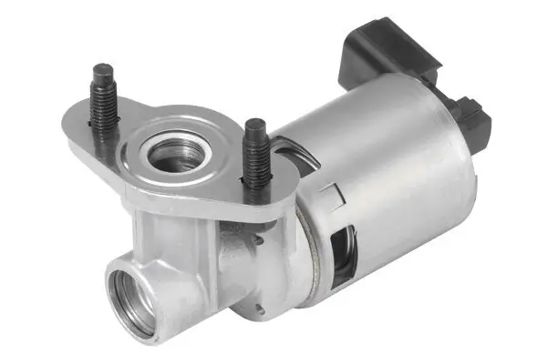 AGR-Ventil BorgWarner (Wahler) 710635D