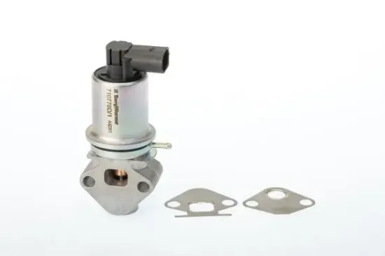 AGR-Ventil BorgWarner (Wahler) 710778D Bild AGR-Ventil BorgWarner (Wahler) 710778D