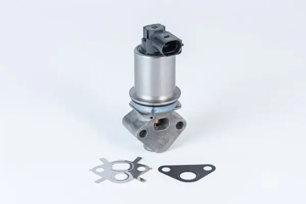 AGR-Ventil BorgWarner (Wahler) 710780D0