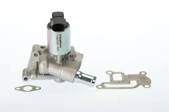 AGR-Ventil BorgWarner (Wahler) 710831D Bild AGR-Ventil BorgWarner (Wahler) 710831D