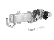 AGR-Modul BorgWarner (Wahler) 710861D/1