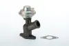 AGR-Ventil BorgWarner (Wahler) 710922D