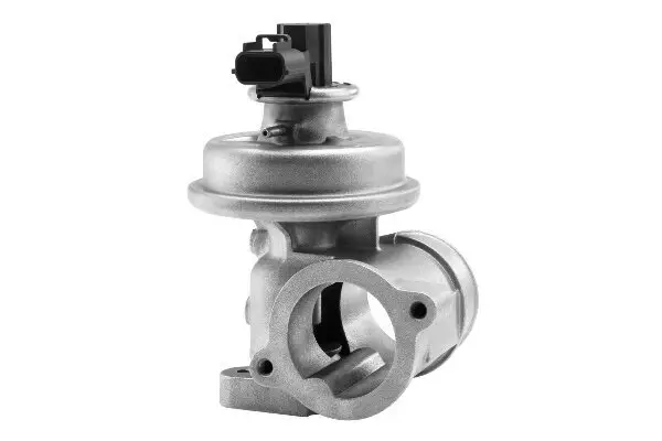 AGR-Ventil BorgWarner (Wahler) 710923R