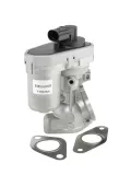 AGR-Ventil BorgWarner (Wahler) 710925R