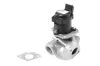 AGR-Ventil BorgWarner (Wahler) 710927R