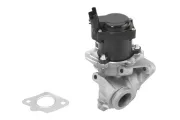 AGR-Ventil BorgWarner (Wahler) 710929R