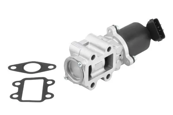 AGR-Ventil BorgWarner (Wahler) 710934R