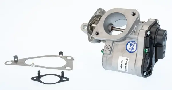 AGR-Ventil BorgWarner (Wahler) 710938R