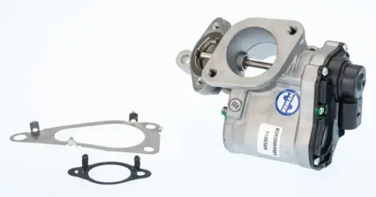 AGR-Ventil BorgWarner (Wahler) 710938R Bild AGR-Ventil BorgWarner (Wahler) 710938R