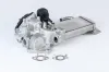 AGR-Ventil BorgWarner (Wahler) 710946R