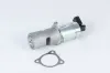 AGR-Ventil BorgWarner (Wahler) 710951R