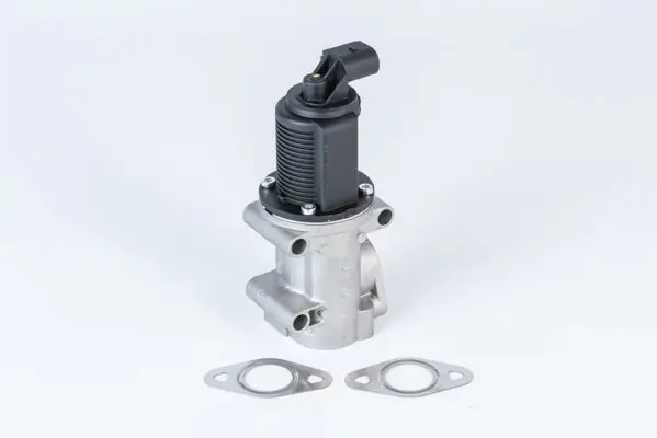 AGR-Ventil BorgWarner (Wahler) 710952R