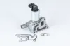 AGR-Ventil BorgWarner (Wahler) 710957R