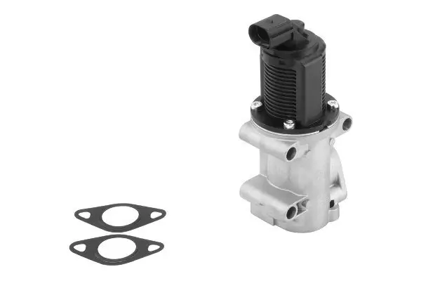 AGR-Ventil BorgWarner (Wahler) 710963R