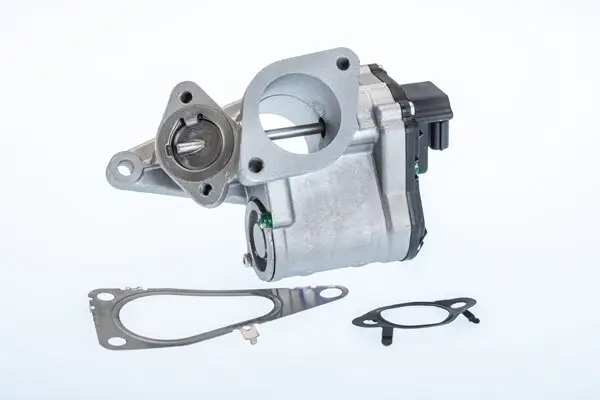 AGR-Ventil BorgWarner (Wahler) 710968R