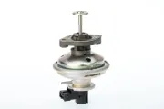 AGR-Ventil BorgWarner (Wahler) 710970D