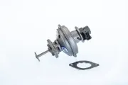 AGR-Ventil BorgWarner (Wahler) 710970R