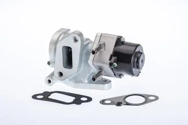 AGR-Ventil BorgWarner (Wahler) 710972R