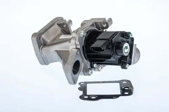AGR-Ventil BorgWarner (Wahler) 710975R Bild AGR-Ventil BorgWarner (Wahler) 710975R