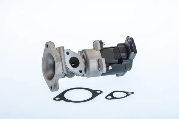 AGR-Ventil rechts BorgWarner (Wahler) 710976R
